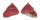 TROCHIDAE CLANCULUS PUNICEUS shell