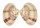 VENERIDAE CALLISTA ROSCIDA shell