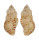 MURICIDAE DERMOMUREX OBELISCUS shell