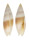 MITRIDAE SCABRICOLA NEWCOMBII shell