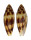CONIDAE CONUS MITRATUS shell