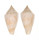 CONIDAE CONUS MINDANUS shell