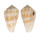 CONIDAE CONUS LIMPUSI shell