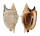 STROMBIDAE STROMBUS ARATRUM shell