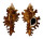 MURICIDAE CHICOREUS LAMARCKI shell