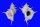 MURICIDAE SIRATUS ALABASTER shell