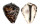 CYPRAEIDAE CYPRAEA TIGRIS shell