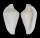 OVULIDAE DENTIOVULA LORENZI shell