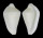 OVULIDAE DENTIOVULA LORENZI shell