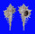 MURICIDAE MUREX ELENENSIS shell