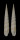 TEREBRIDAE HASTULA LANCEATA shell