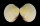 VENERIDAE MERCENARIA MERCENARIA shell