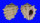 MURICIDAE DRUPA RUBUSIDAEUS shell