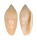 MARGINELLIDAE MARGINELLA SAPOTILLA shell