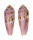 CONIDAE CONUS VIOLA shell