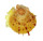 SPONDYLIDAE SPONDYLUS DEFORGESI shell