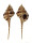 MURICIDAE MUREX DENTIFER shell