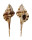 MURICIDAE MUREX DENTIFER shell