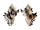 MURICIDAE CHICOREUS BRUNNEUS shell