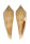 CONIDAE CONUS VIMINEUS shell