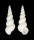 EPITONIIDAE PARVISCALA EUSCULPTUM shell