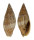 MITRIDAE MITRA VARIABILIS shell