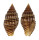 MITRIDAE VEXILLUM VENUSTULUM shell