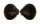 FRESHWATER CORBICULA SANDAI shell