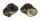 TURBINIDAE TURBO CORONATA shell
