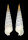 TEREBRIDAE TEREBRA ARMILLATA shell