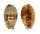 CYPRAEIDAE CYPRAEA BREGERIANA BREGERIANA shell