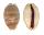 CYPRAEIDAE LYNCINA LEVIATHAN TITAN shell
