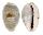 CYPRAEIDAE CYPRAEA GRACILIS MACULA shell