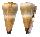 CONIDAE CONUS DISTANS shell