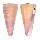 CONIDAE CONUS KINTOKI shell