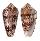 CONIDAE CONUS FLOCCATUS shell