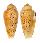 CONIDAE CONUS FLOCCATUS MAGDALENAE shell