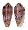 CONIDAE CONUS CIRCUMCISUS shell