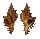 MURICIDAE TRIPLEX FRANZETTIAE shell