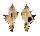 MURICIDAE TRIPLEX FRANZETTIAE shell