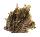 OSTREIDAE PLANOSTREA PESTIGRIS shell
