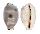 CYPRAEIDAE BISTOLIDA HIRUNDO NEGLECTA shell