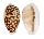 CYPRAEIDAE CYPRAEA CRIBRARIA shell