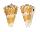 CONIDAE CONUS TRIGONUS shell