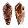 CONIDAE CONUS MAGNIFICUS shell