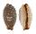 CYPRAEIDAE STAPHYLEA LIMACINA shell