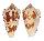 CONIDAE CONUS AMMIRALIS ARCHITHALASSUS shell