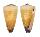 CONIDAE CONUS VITULINUS shell