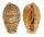 CYPRAEIDAE CYPRAEA BREGERIANA BREGERIANA shell