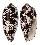 CONIDAE CONUS AULICUS shell